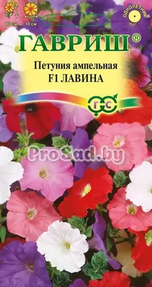 Петуния ампельная F1 Лавина, смесь