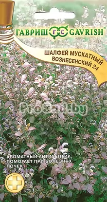 Шалфей мускатный Вознесенский 24