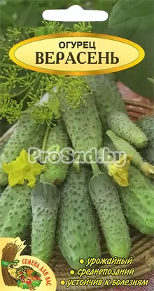 Огурец Верасень