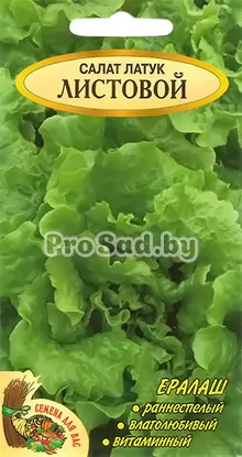 Салат Латук листовой (Польша)