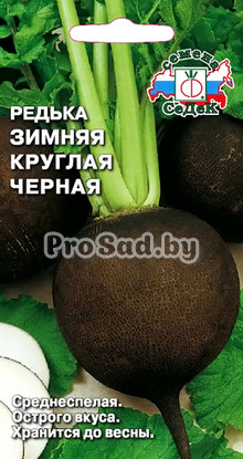 Редька Зимняя круглая Чёрная
