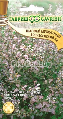 Шалфей мускатный Вознесенский 24