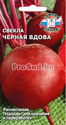 Свекла столовая Чёрная вдова