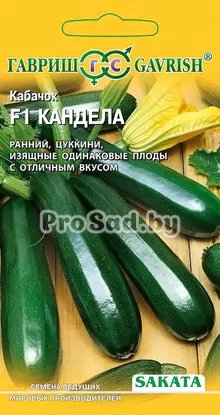 Кабачок-цуккини F1 Кандела (Япония)