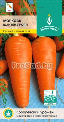 Морковь Шантенэ Роял