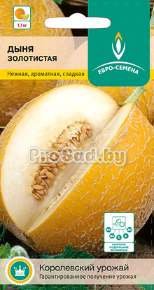 Дыня Золотистая