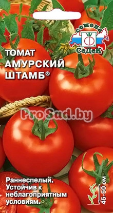 Томат Амурский штамб