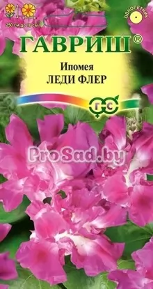 Ипомея махровая Леди Флёр