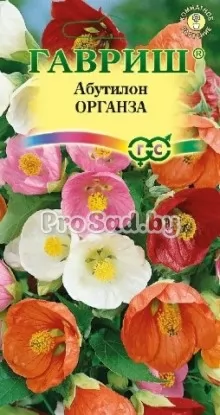 Абутилон Органза