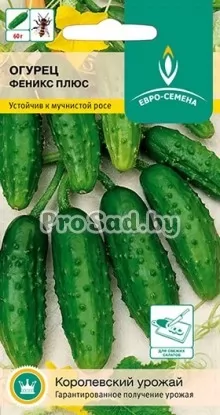Огурец Феникс Плюс