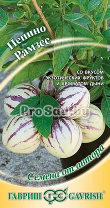 Пепино (Дынная груша) Рамзес