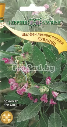 Шалфей лекарственный Кубанец