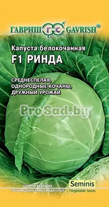Капуста белокочанная F1 Ринда