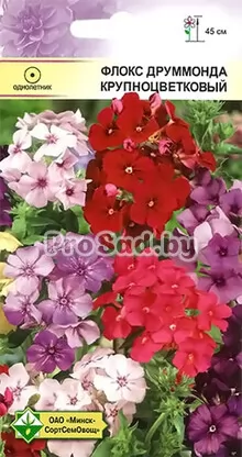 Флокс друммонда Крупноцветковый, смесь