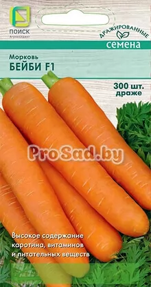 Морковь F1 Бейби