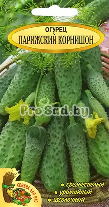 Огурец Парижский корнишон (Польша)