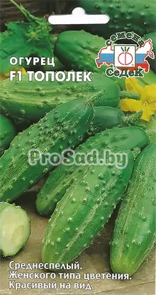 Огурец F1 Тополёк