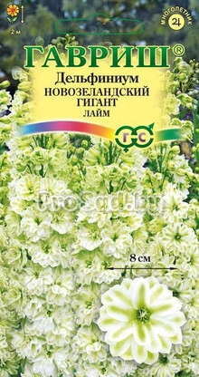 Дельфиниум Новозеландский гигант Лайм