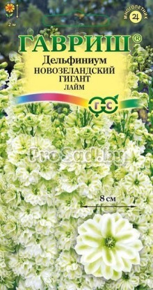 Дельфиниум Новозеландский гигант Лайм