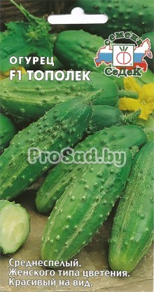 Огурец F1 Тополёк