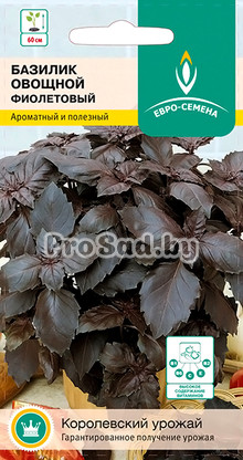Базилик овощной Фиолетовый