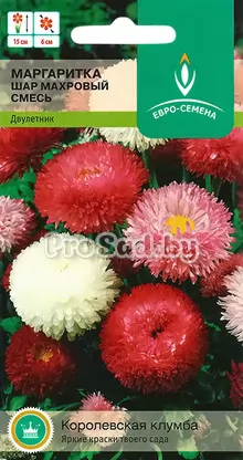 Маргаритка Шар махровый, смесь