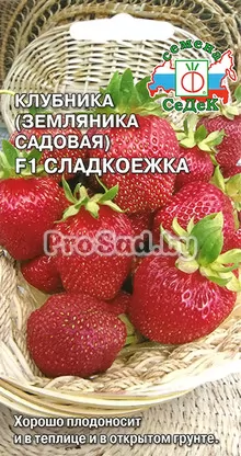 Клубника (Земляника садовая) F1 Сладкоежка