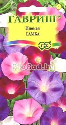 Ипомея Самба