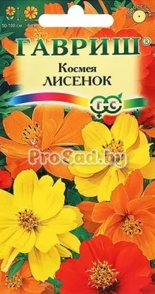 Космея Лисёнок