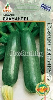 Кабачок F1 Диамант