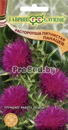 Расторопша пятнистая Панацея