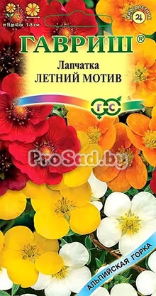 Лапчатка Летний мотив, смесь видов