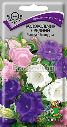 Колокольчик средний Чашка с блюдцем
