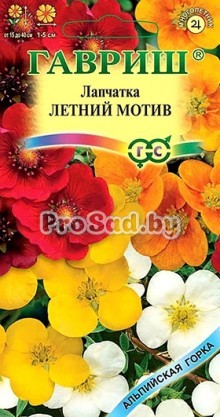 Лапчатка Летний мотив, смесь видов