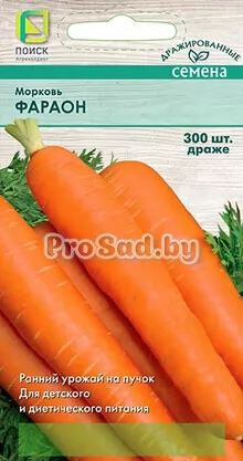 Морковь Фараон