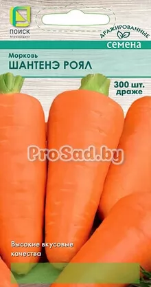 Морковь Шантенэ роял (драже)