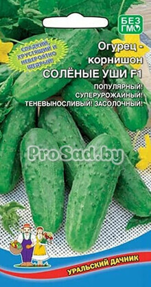 Огурец F1 Солёные уши