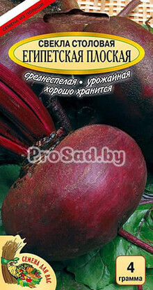 Свекла столовая Египетская плоская