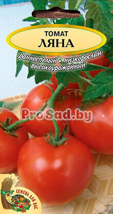 Томат Ляна