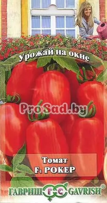 Томат Рокер