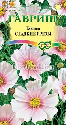 Космея Сладкие Грёзы