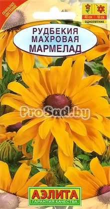 Рудбекия махровая Мармелад