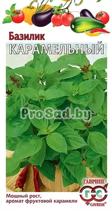 Базилик Карамельный