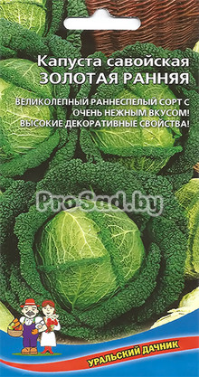 Капуста савойская Золотая ранняя