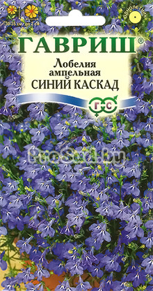 Лобелия ампельная Синий каскад