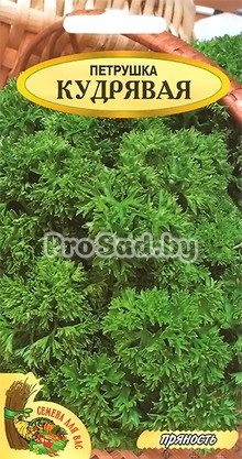 Петрушка Кудрявая (Польша)