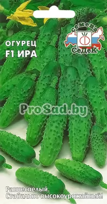 Огурец F1 Ира