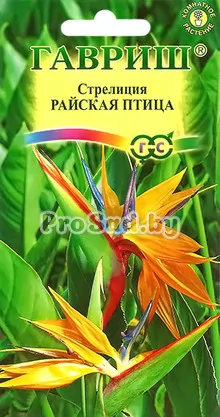 Стрелиция Райская птица