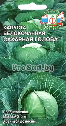 Капуста белокочанная Сахарная голова
