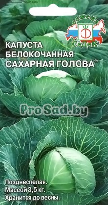 Капуста белокочанная Сахарная голова